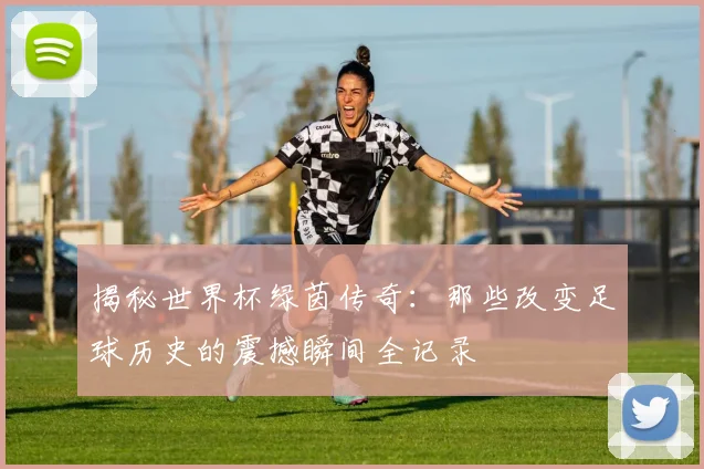 揭秘世界杯绿茵传奇：那些改变足球历史的震撼瞬间全记录