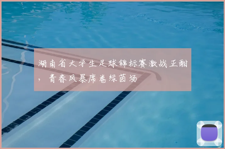 湖南省大学生足球锦标赛激战正酣，青春风暴席卷绿茵场